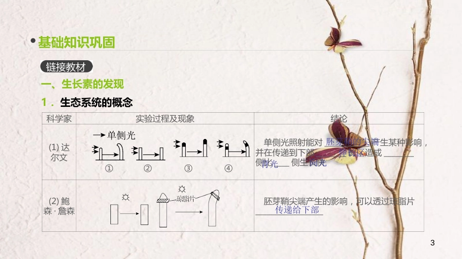 （全国）高考生物一轮复习（基础知识巩固+考点互动探究+考例考法直击+教师备用习题）第8单元 生命活动的调节 第27讲 植物的激素调节课件_第3页
