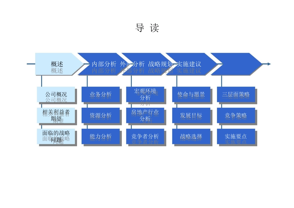 X房地产公司发展战略咨询报告_第2页