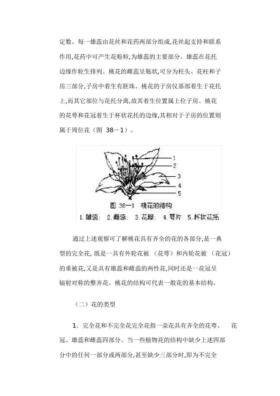 花的解剖结构[共34页]_第2页