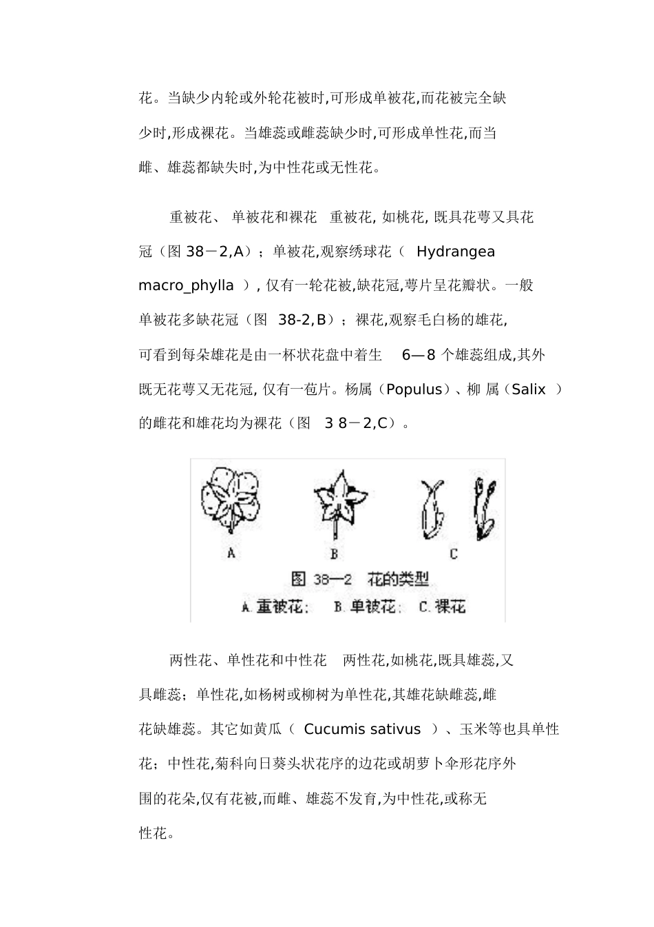花的解剖结构[共34页]_第3页