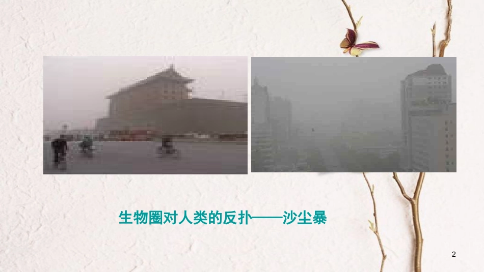 七年级生物下册 4.13.2保护环境——从自身做起课件 苏教版[共26页]_第2页