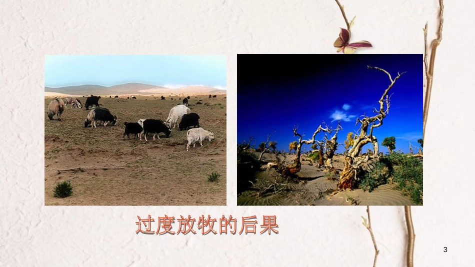 七年级生物下册 4.13.2保护环境——从自身做起课件 苏教版[共26页]_第3页