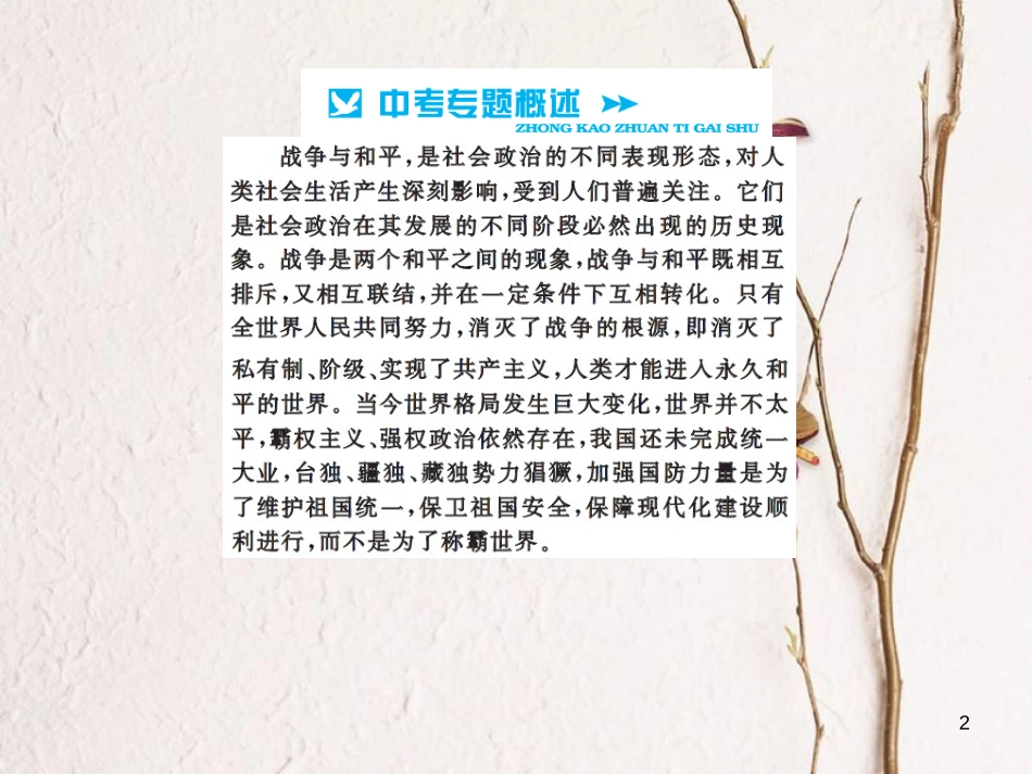 中考历史总复习 第二篇 专题突破八 20世界的战争与和平 战后世界政治格局课件[共9页]_第2页