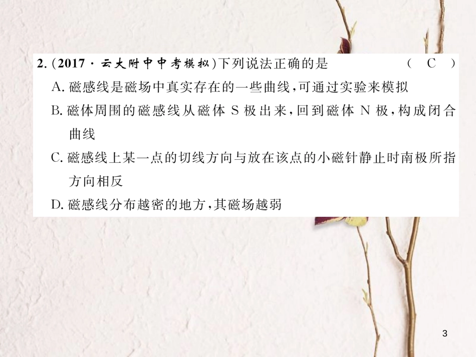 （云南专用）九年级物理全册 17 从指南针到磁悬浮列车达标测试卷课件 （新版）沪科版[共29页]_第3页