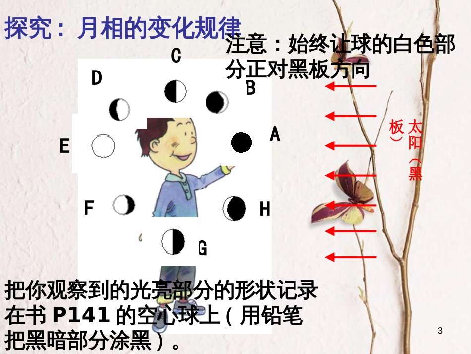 七年级科学下册 4.4《月相》课件5 浙教版[共15页]_第3页