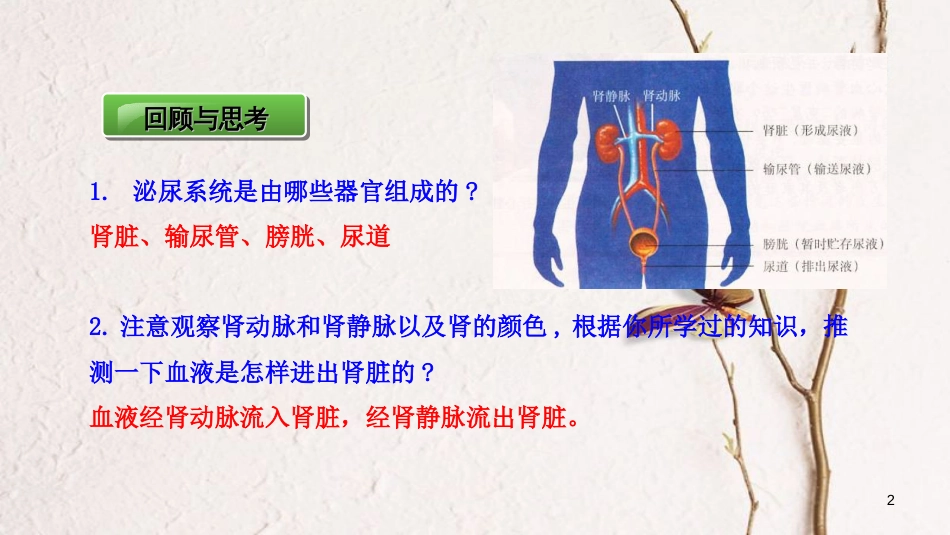 七年级生物下册 4.11.2人体废物的排出课件 苏教版[共18页]_第2页