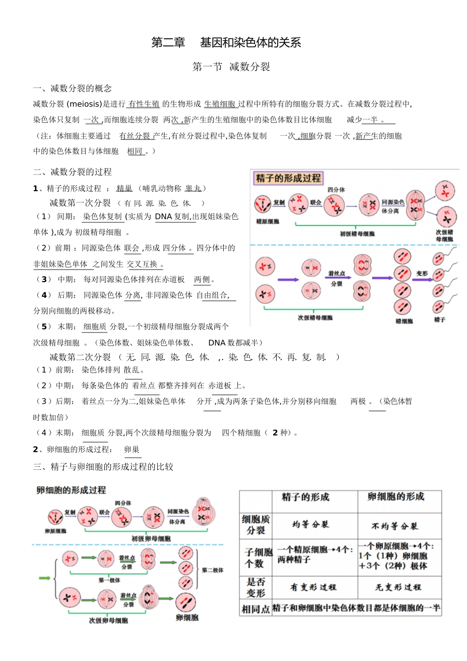 高中生物人教版必修二第二章知识点总结[共6页]_第1页