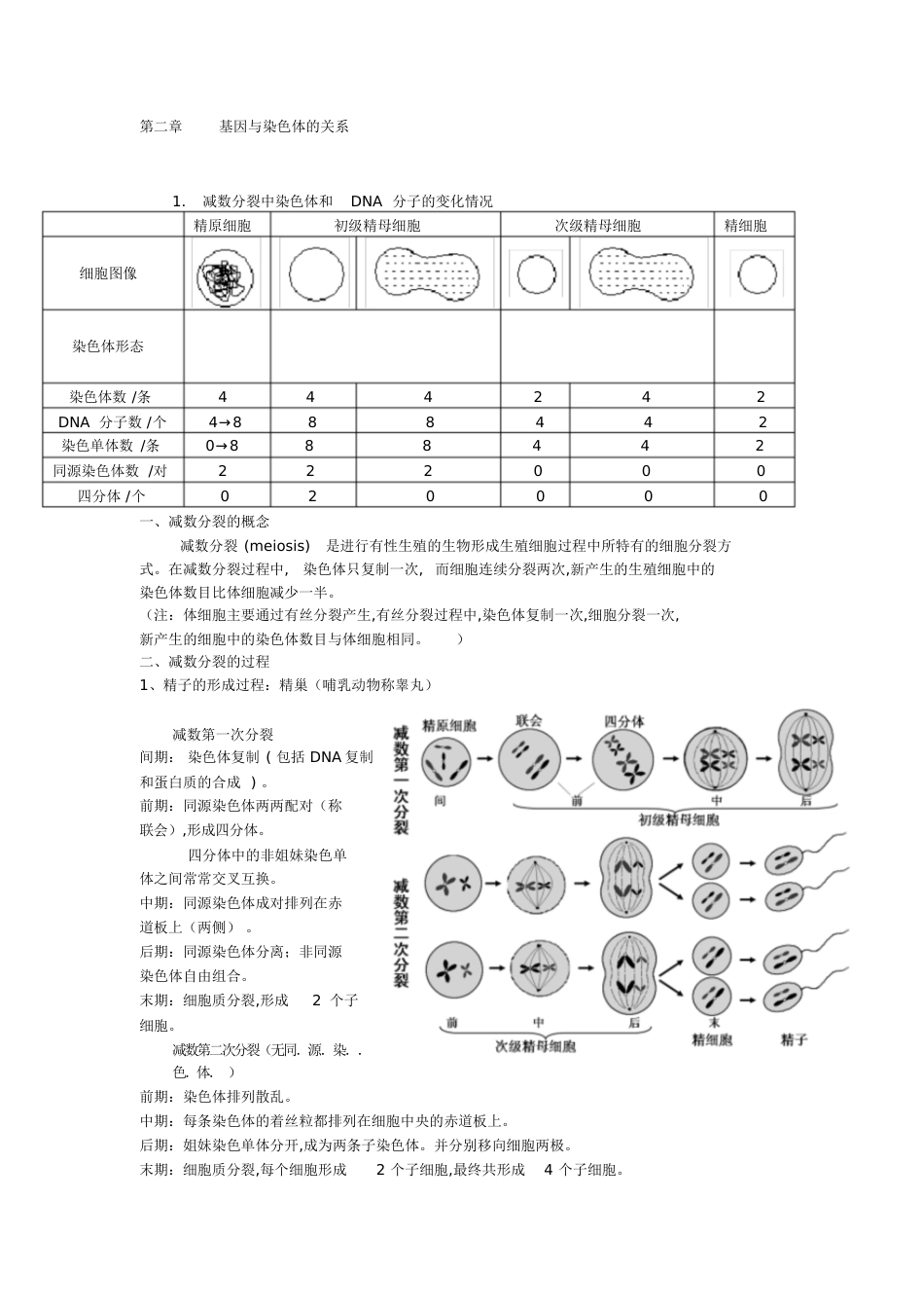 生物必修二知识点总结[共27页]_第3页