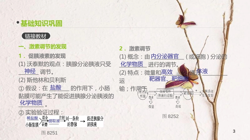 （全国）高考生物一轮复习（基础知识巩固+考点互动探究+考例考法直击+教师备用习题）第8单元 生命活动的调节 第25讲 激素调节、神经调节与体液调节的关系课件_第3页