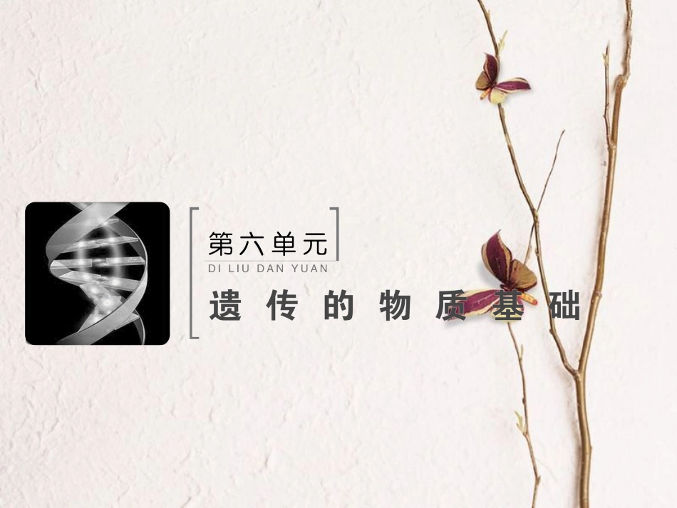 （新课标）高考生物大一轮复习 第六单元 遗传的物质基础 6.1 DNA是主要的遗传物质课件[共93页]_第2页