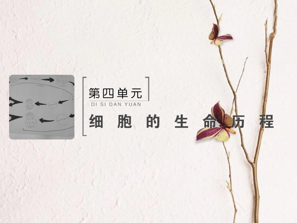 （新课标）高考生物大一轮复习 第四单元 细胞的生命历程 4.1 细胞的增殖课件[共92页]_第2页