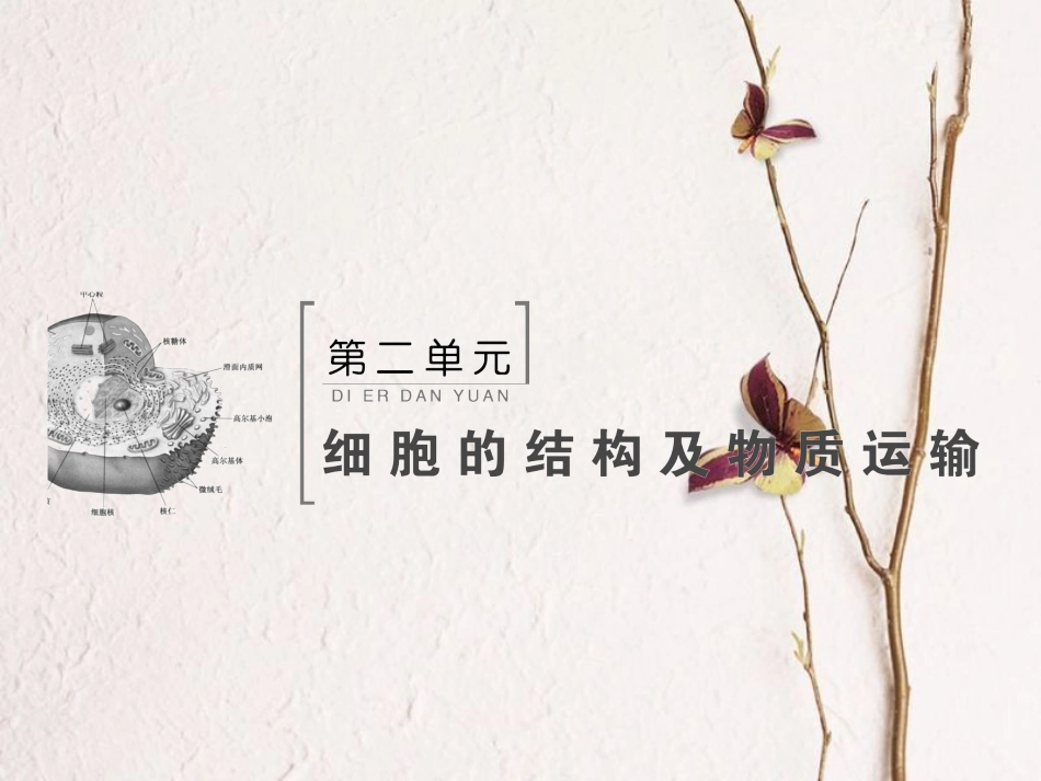 （新课标）高考生物大一轮复习 第二单元 细胞的结构及物质运输 2.1 细胞膜及细胞核课件[共78页]_第2页