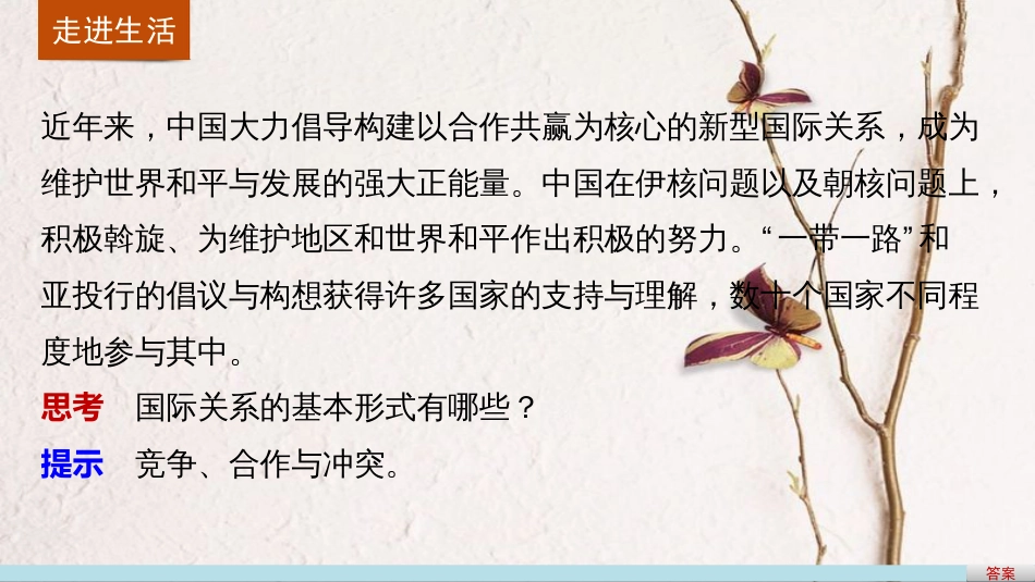 高中政治 8.2 国际关系的决定性因素 国家利益课件 新人教版必修2_第2页