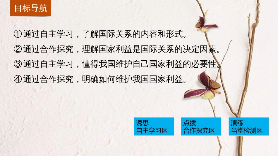 高中政治 8.2 国际关系的决定性因素 国家利益课件 新人教版必修2_第3页