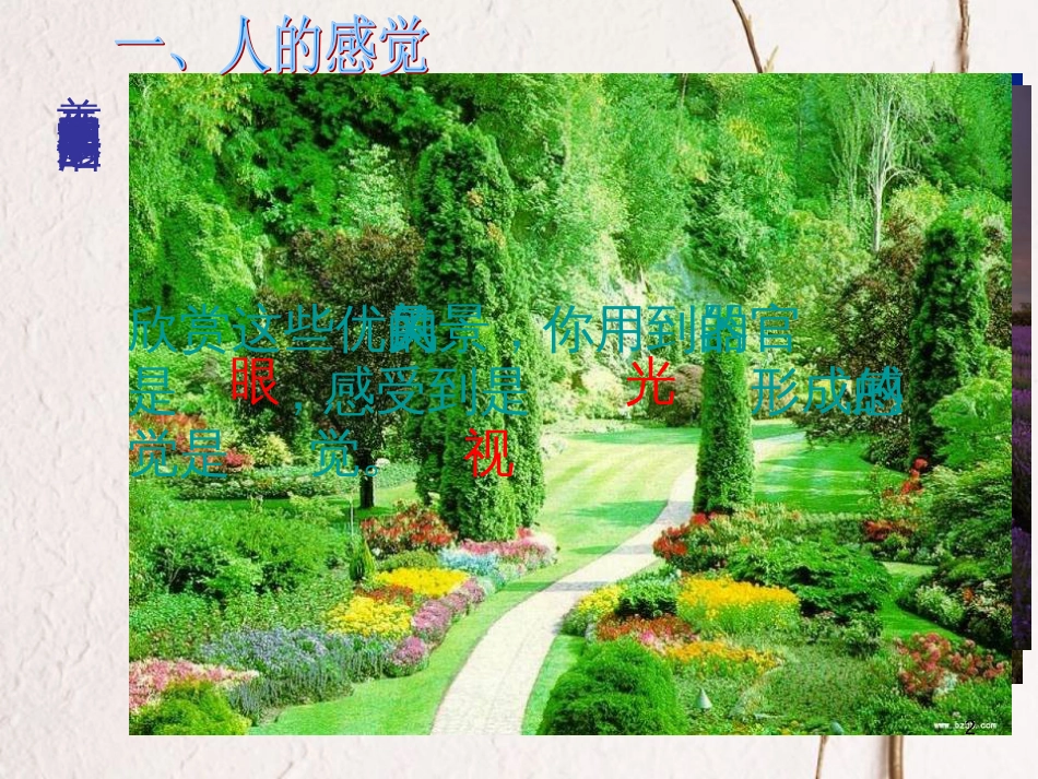 七年级科学下册 2.1《感觉世界》课件2 浙教版[共20页]_第2页