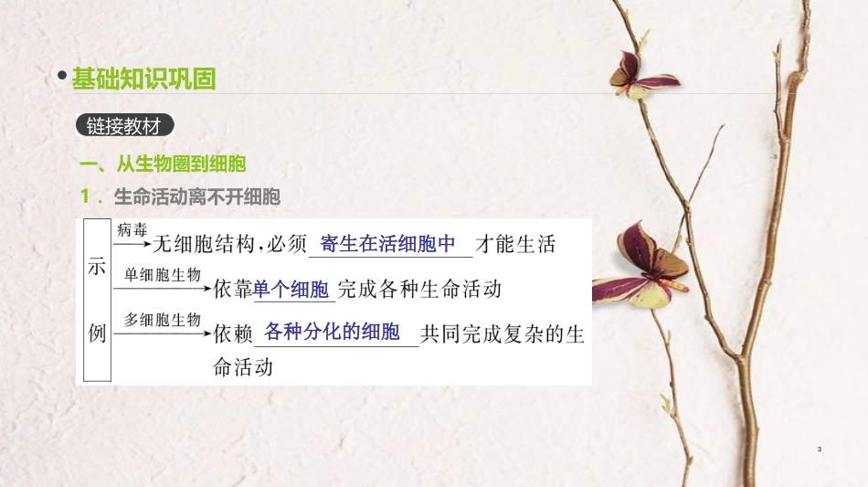 （全国）高考生物一轮复习（基础知识巩固+考点互动探究+考例考法直击+教师备用习题）第1单元 走近细胞与细胞的分子组成 第1讲 走进细胞课件_第3页