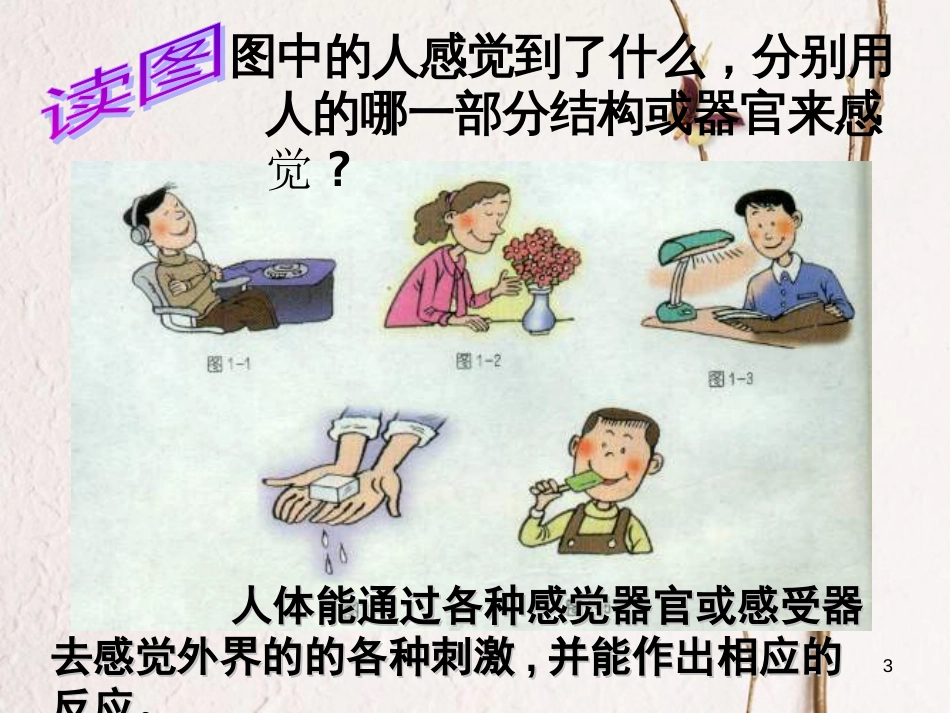 七年级科学下册 第二章《对环境的察觉》复习课件 浙教版[共164页]_第3页