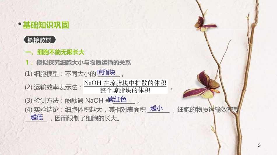 （全国）高考生物一轮复习（基础知识巩固+考点互动探究+考例考法直击+教师备用习题）第4单元 细胞的生命历程 第11讲 细胞的增殖课件_第3页