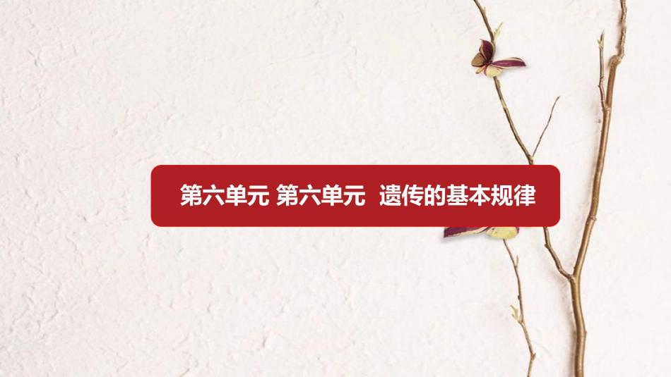 第六单元 遗传的基本规律【复习课件】-2021年高考一轮生物单元复习一遍过_第1页