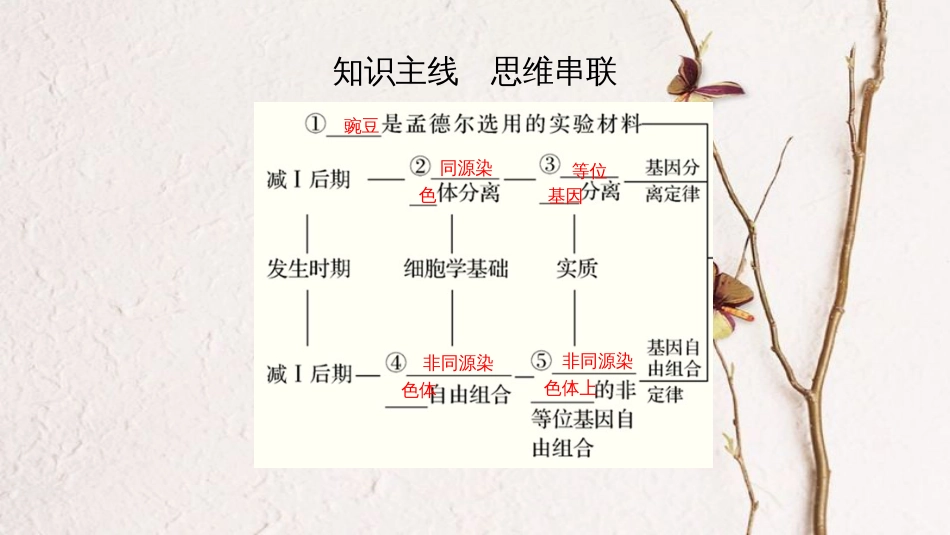 第六单元 遗传的基本规律【复习课件】-2021年高考一轮生物单元复习一遍过_第2页