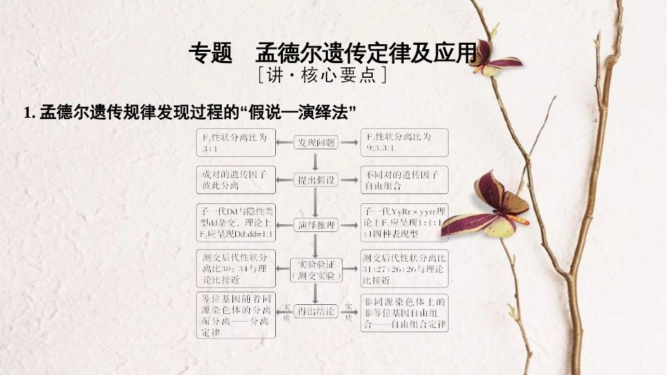 第六单元 遗传的基本规律【复习课件】-2021年高考一轮生物单元复习一遍过_第3页