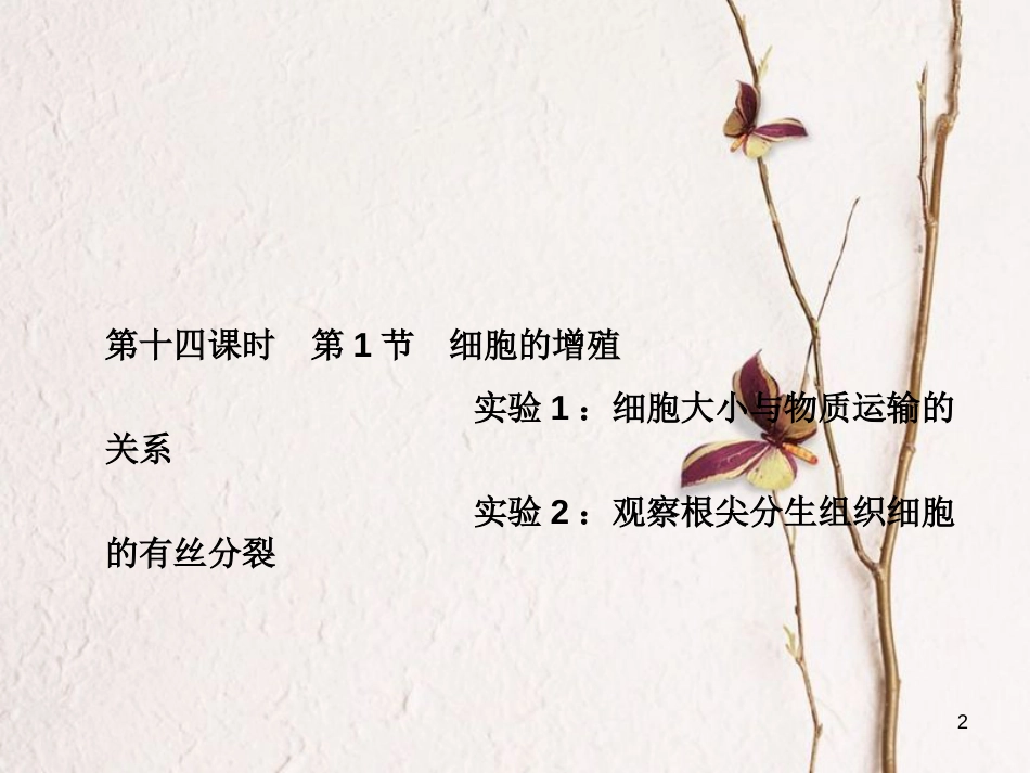 高考高考生物一轮复习 第六章 细胞的生命历程（第十四课时）第1节 细胞的增殖 实验1-细胞大小与物质运输的关系 实验2-观察根尖分生组织细胞的有丝分裂课件 新人教版必修1_第2页
