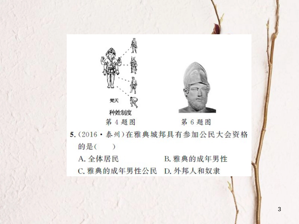 中考历史 基础知识夯实 模块四 世界古代史 第一主题 史前时期的人类与上古人类文明课后提升课件 岳麓版[共14页]_第3页