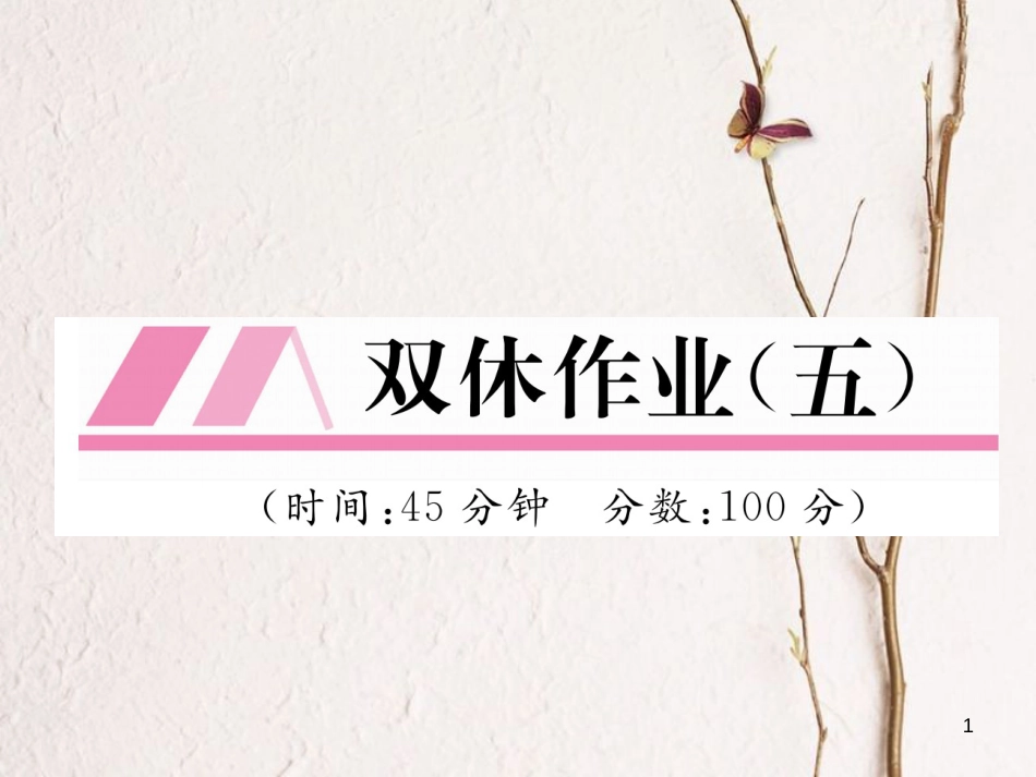 （云南专版）八年级物理全册 双休作业（五）课件 （新版）沪科版_第1页