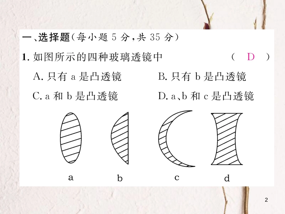 （云南专版）八年级物理全册 双休作业（五）课件 （新版）沪科版_第2页