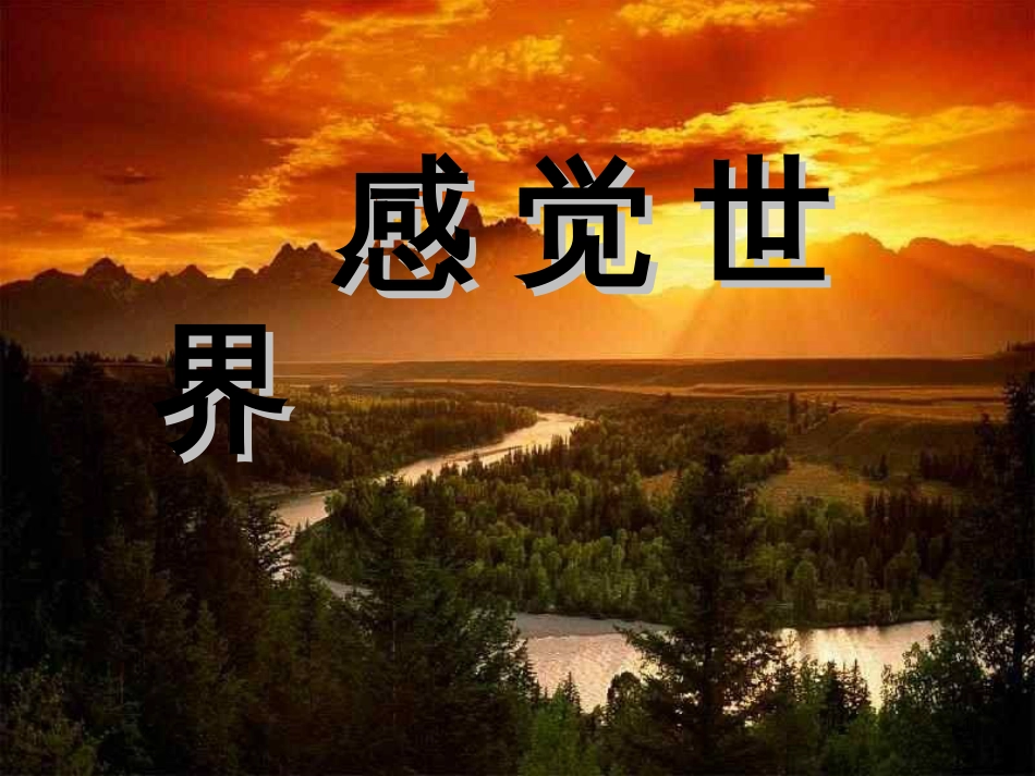 七年级科学下册 2.1《感觉世界》课件1 浙教版[共20页]_第1页