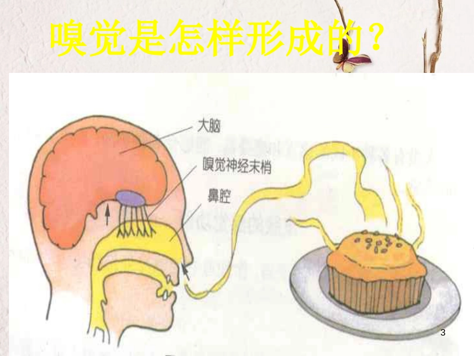 七年级科学下册 2.1《感觉世界》课件1 浙教版[共20页]_第3页