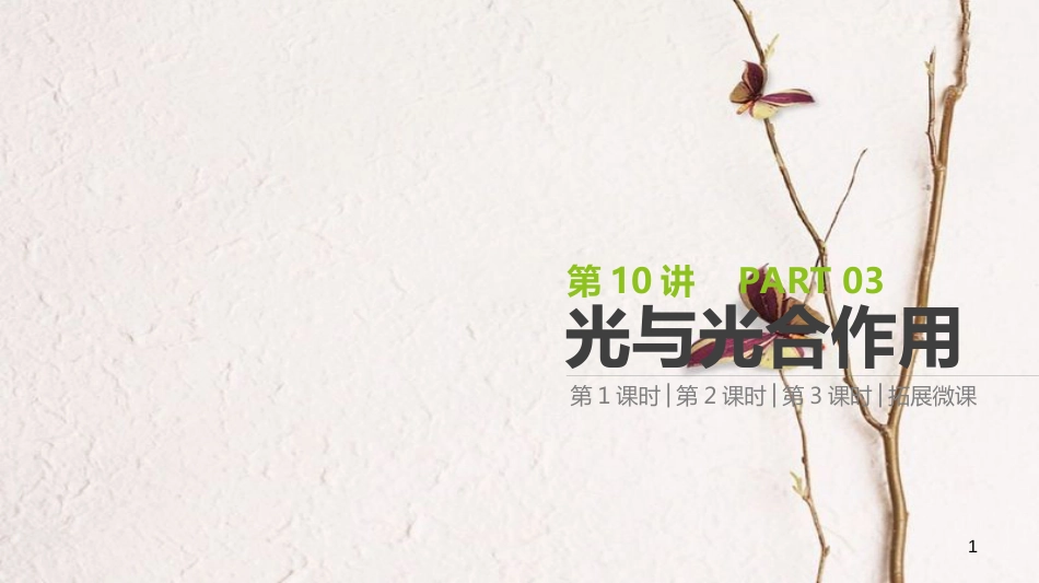 (全国)高考生物一轮复习(基础知识巩固+考点互动探究+考例考法直击+教师备用习题)第3单元 细胞的能量供应与利用 第10讲 光与光合作用课件_第1页