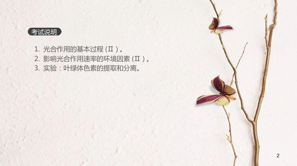 (全国)高考生物一轮复习(基础知识巩固+考点互动探究+考例考法直击+教师备用习题)第3单元 细胞的能量供应与利用 第10讲 光与光合作用课件_第2页