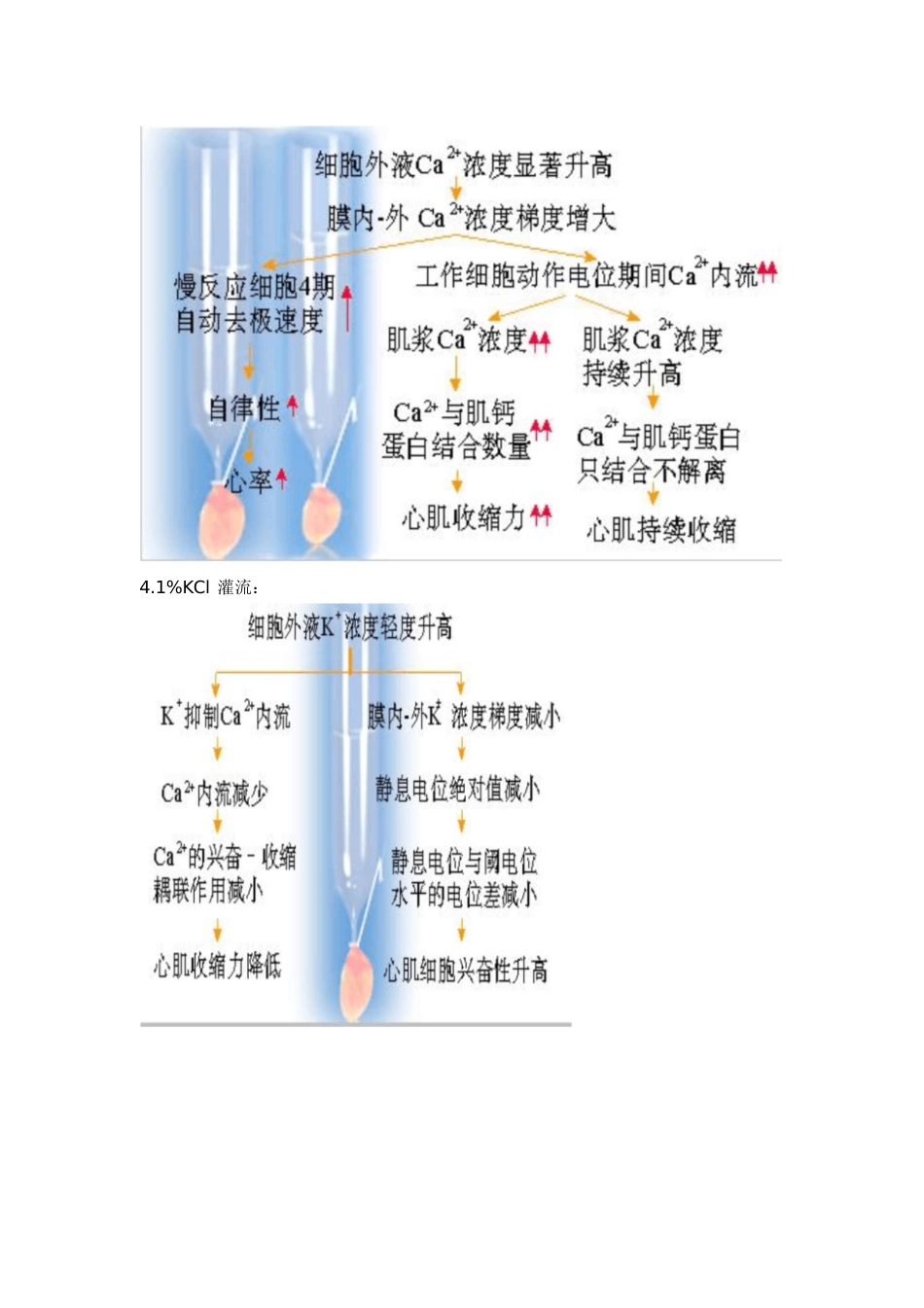 蛙心灌流实验报告[共10页]_第2页