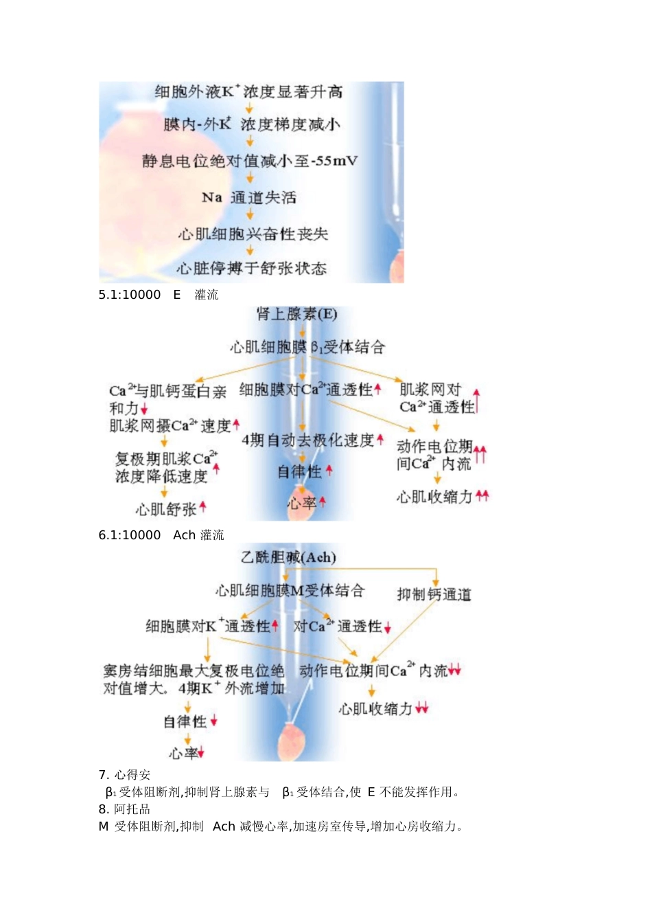 蛙心灌流实验报告[共10页]_第3页