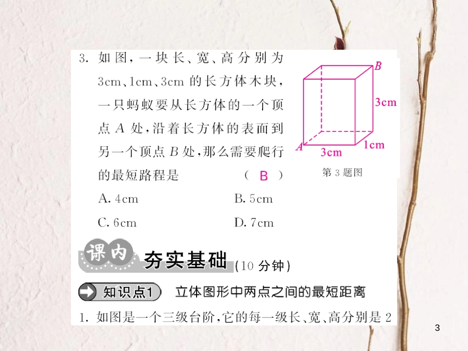 八年级数学上册 1.3 勾股定理的应用课件 （新版）北师大版[共13页]_第3页