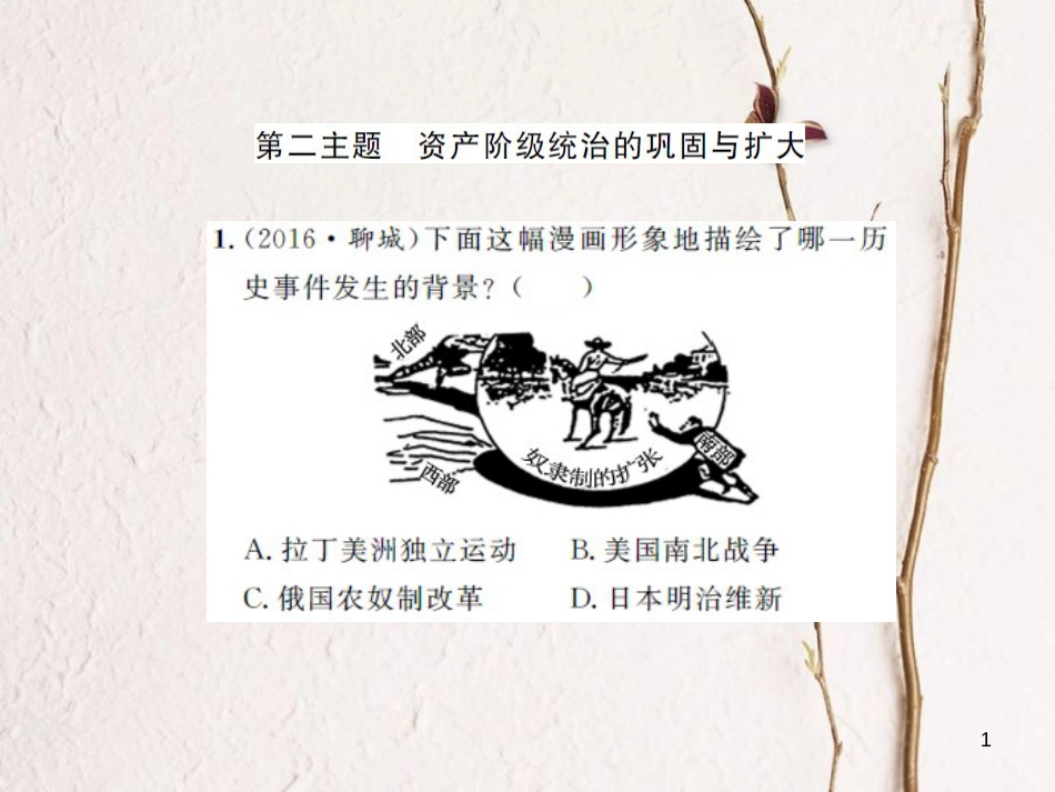中考历史 基础知识夯实 模块五 世界近代史 第二单元 殖民扩张与殖民地人民的抗争课后提升课件 岳麓版[共15页]_第1页