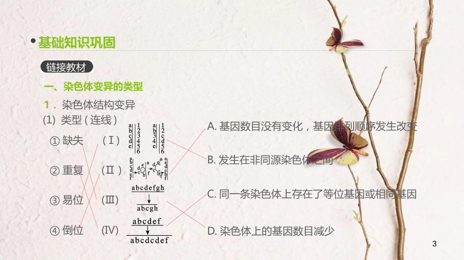 （全国）高考生物一轮复习（基础知识巩固+考点互动探究+考例考法直击+教师备用习题）第7单元 遗传、变异与进化 第21讲 染色体变异与育种、基因工程课件_第3页