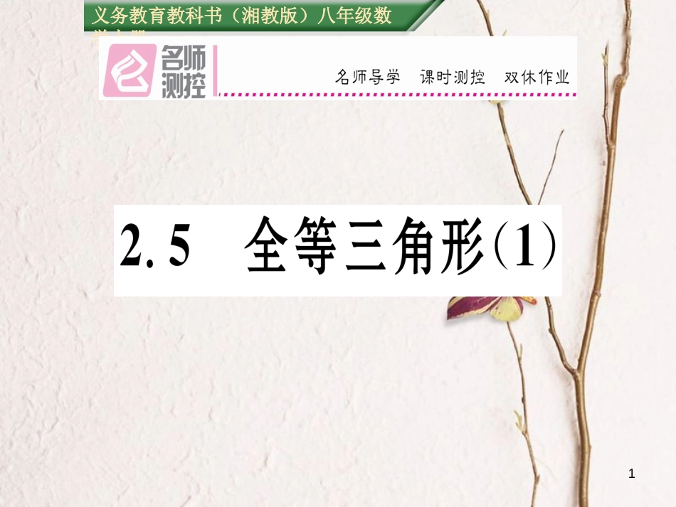 八年级数学上册 2.5 全等三角形课件1 （新版）湘教版[共18页]_第1页