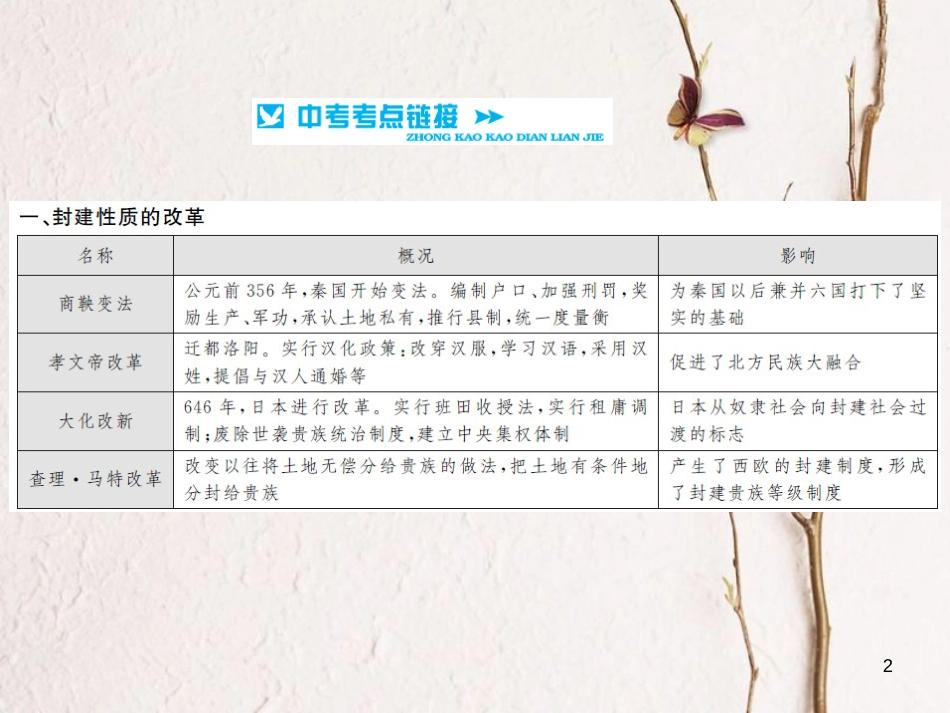 中考历史 基础知识夯实 专题突破七 中外历史上的重要改革课件 岳麓版[共13页]_第2页