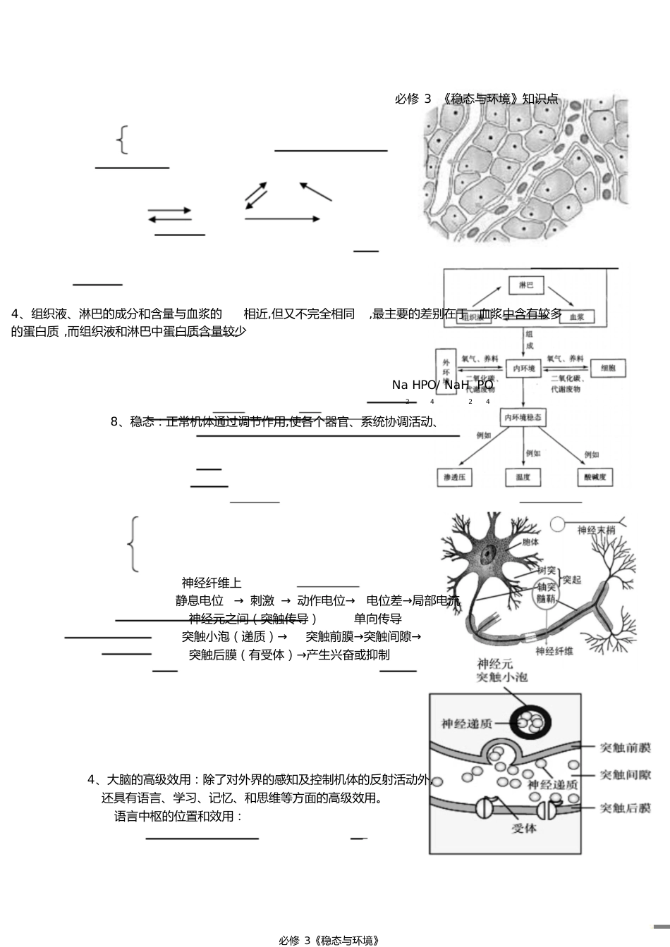 高中生物必修3知识点总结(完成)[共6页]_第1页