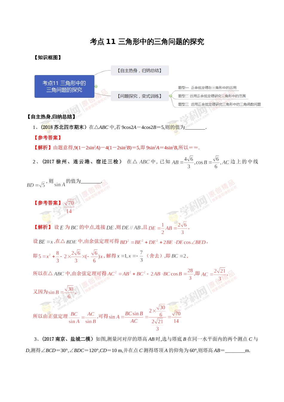 考点11  三角形中的三角问题的探究（解析版）[共13页]_第1页