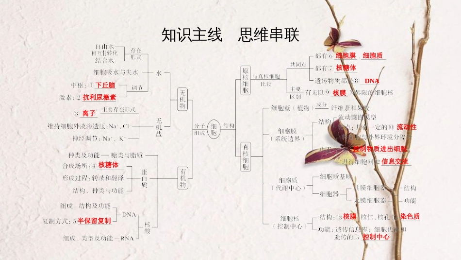 第一单元 细胞的组成与结构 【复习课件】-2021年高考一轮生物单元复习一遍过_第2页