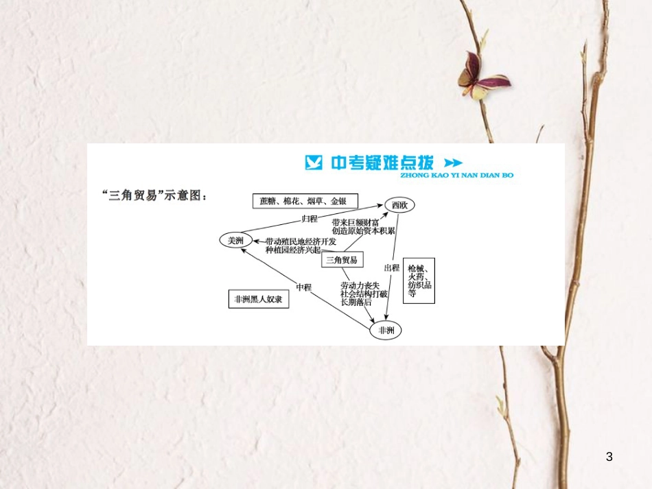 中考历史总复习 模块五 世界近代史 第二单元 殖民扩张与殖民地人民的抗争讲解课件[共4页]_第3页