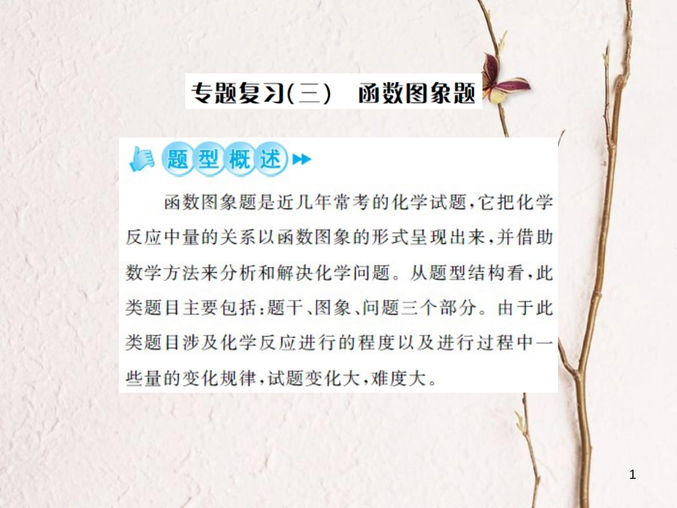 中考化学总复习 第二篇 专题突破 提升能力 专题复习（三）函数图像题课件[共26页]_第1页