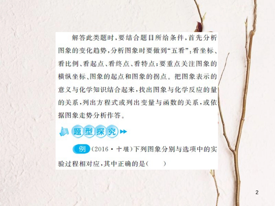 中考化学总复习 第二篇 专题突破 提升能力 专题复习（三）函数图像题课件[共26页]_第2页