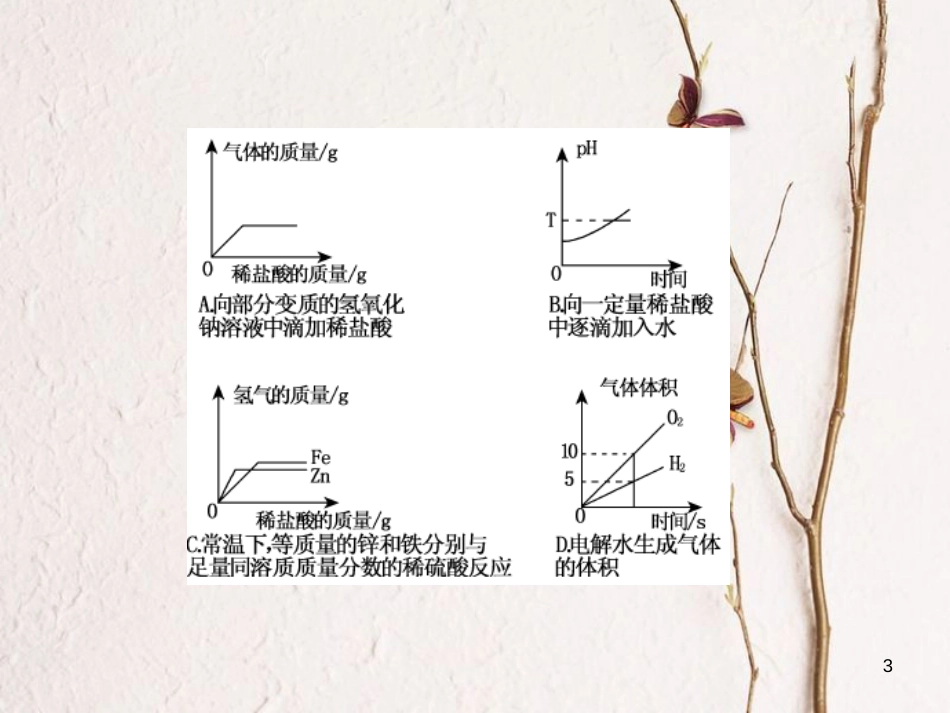 中考化学总复习 第二篇 专题突破 提升能力 专题复习（三）函数图像题课件[共26页]_第3页