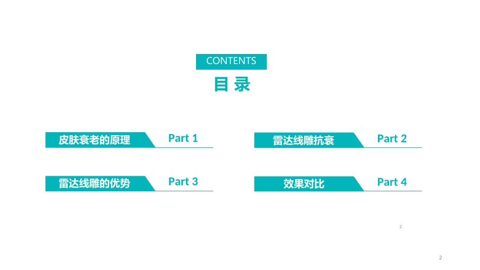 雷达线雕ppt课件[共26页]_第2页