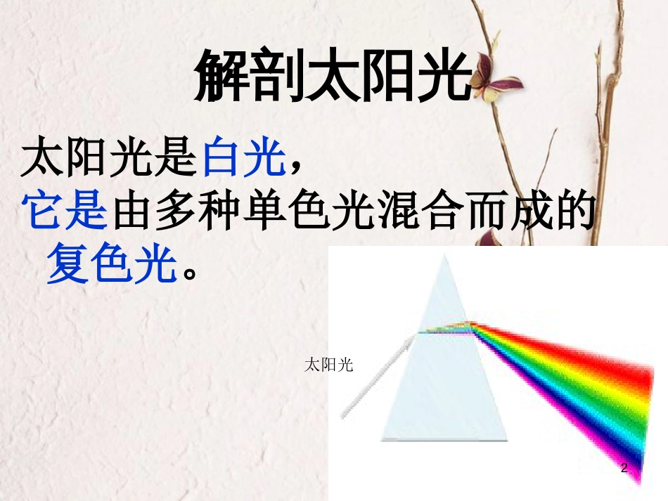 七年级科学下册 2.4《光和颜色》课件4 浙教版[共15页]_第2页
