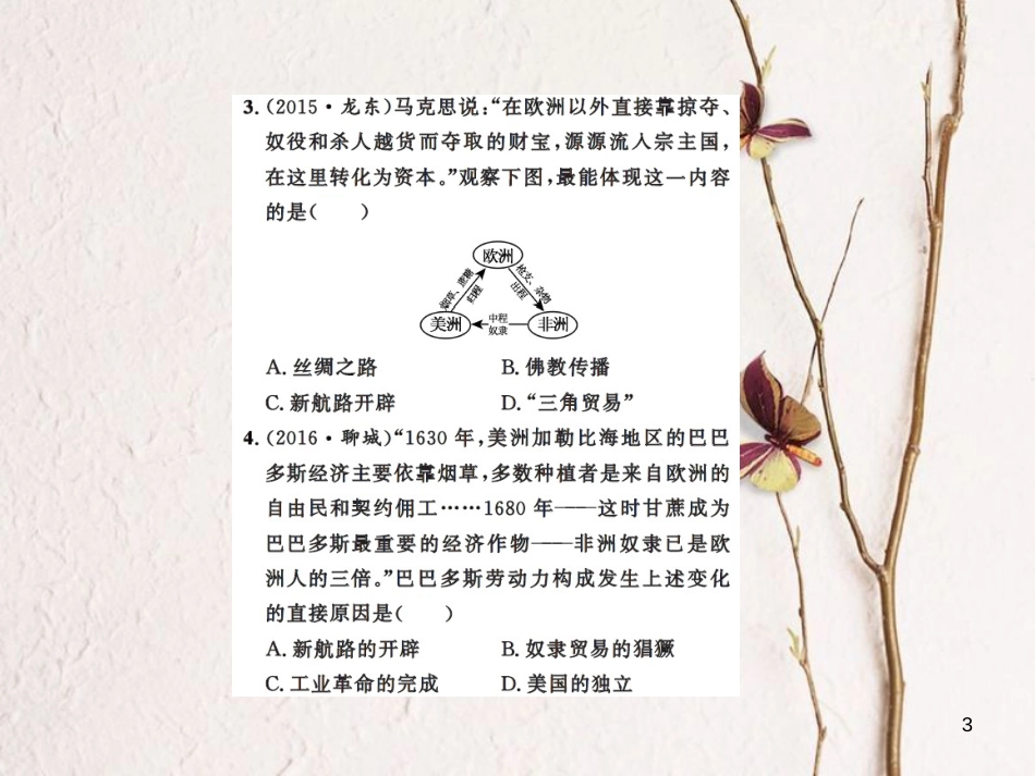 中考历史总复习 模块五 世界近代史 第二单元 殖民扩张与殖民地人民的抗争课时提升课件[共11页]_第3页